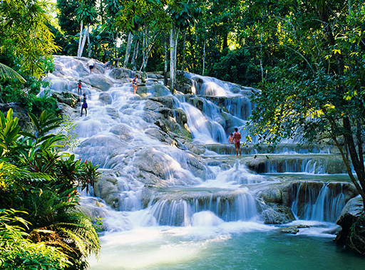 Dunn's Falls