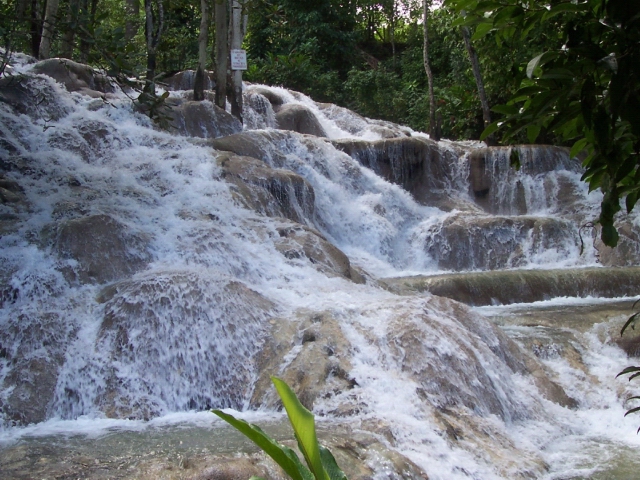 Dunn's River Falls and River Tubing 